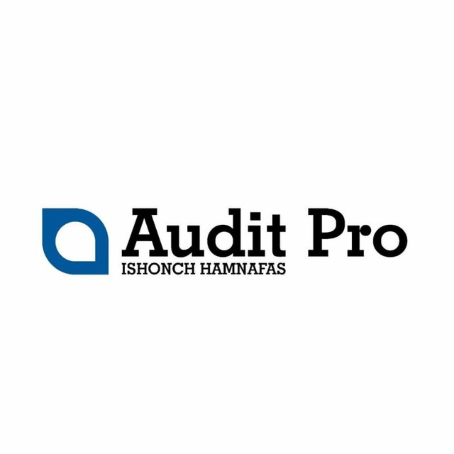 Audit Pro